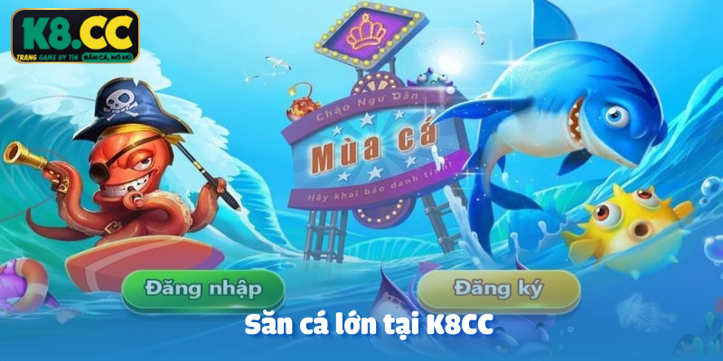 Săn cá lớn tại K8CC